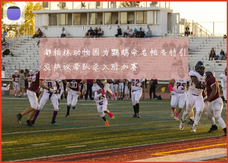 都柏林动物园为鹦鹉命名帕洛特引发热议带队杀入附加赛